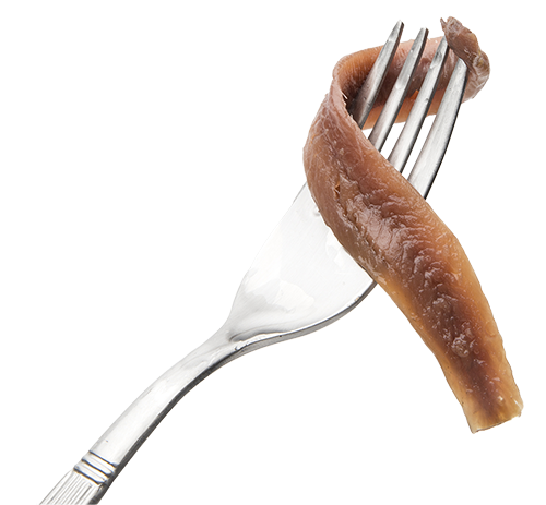 anchoa-cantabrico-tenedor